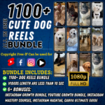Cute Dog Reels Bundle, Dog Reels Bundle